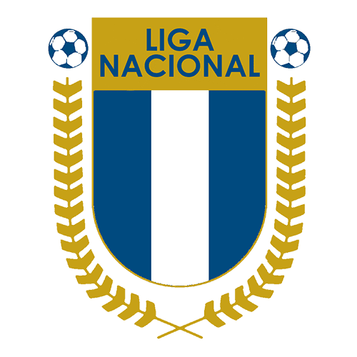 Liga nacional